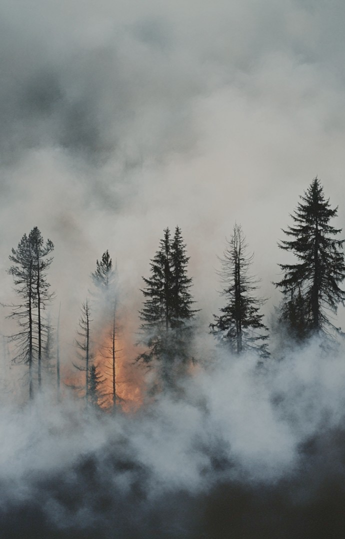 无人机消防应急解决方案